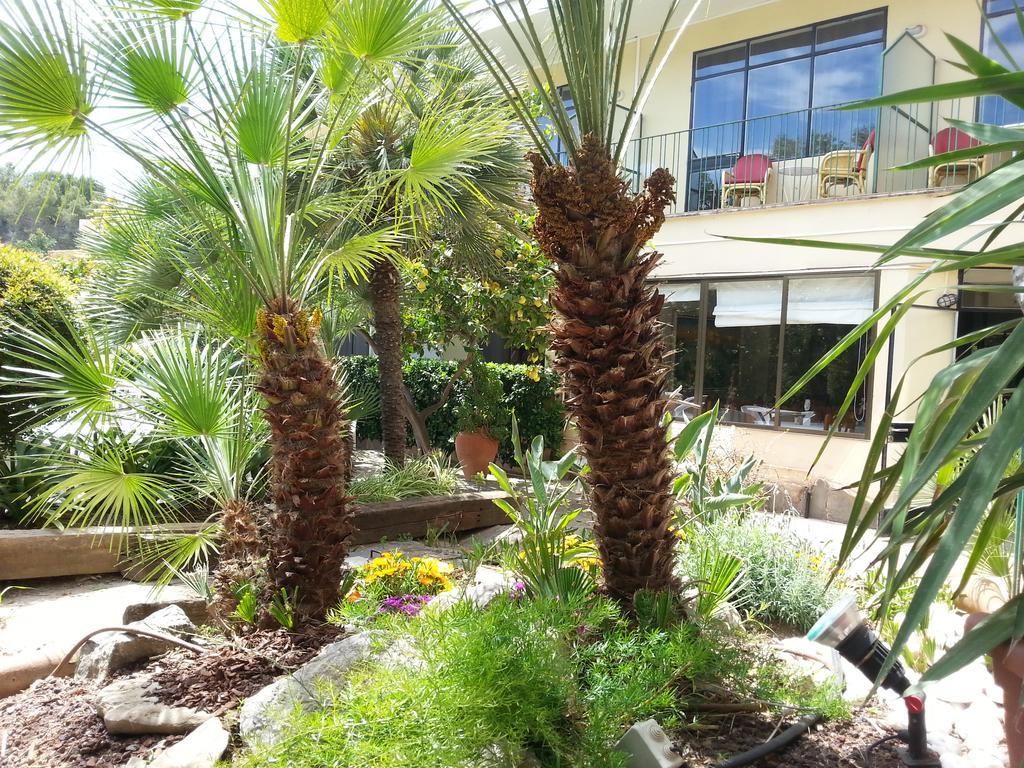 Celo Garden Peguera