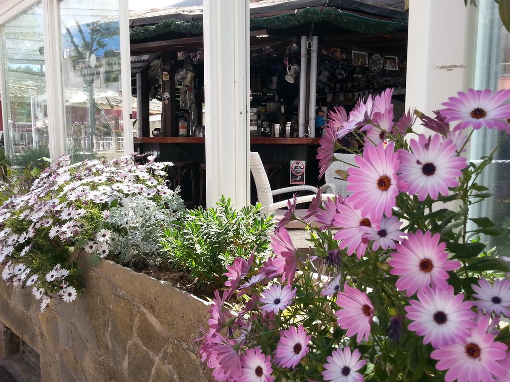 Celo Garden