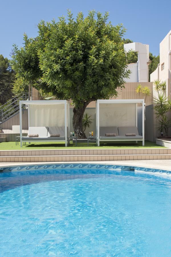 Guest house Celo Garden
